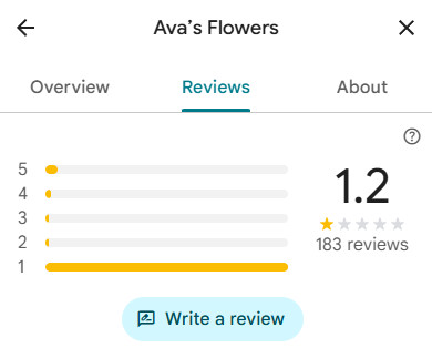 Actual Google reviews